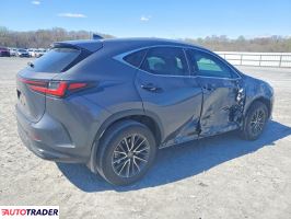 Lexus NX 2025 2