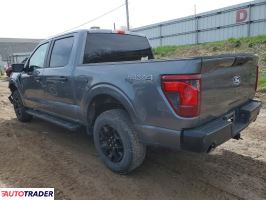 Ford Pozostałe 2025 2