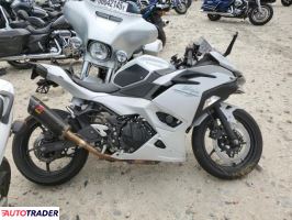 Kawasaki Pozostałe 2025 Kawasaki Pozostałe 2025