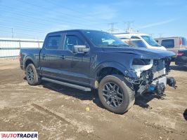 Ford Pozostałe 2024 2
