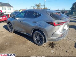 Lexus NX 2022 2