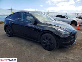 Tesla Model Y 2025