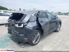 Lexus NX 2022 2 Lexus NX 2022 2