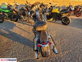 Harley-Davidson Pozostałe 2020