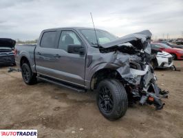 Ford Pozostałe 2024 2