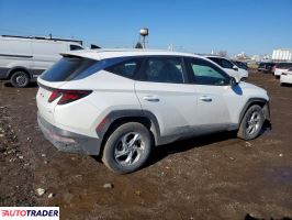 Hyundai Tucson 2024 2