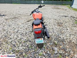 Honda Shadow 2025