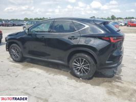 Lexus NX 2024 2