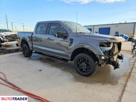 Ford Pozostałe 2024 3