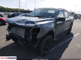 Ford Pozostałe 2024 5