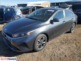 Kia Pozostałe 2024 2