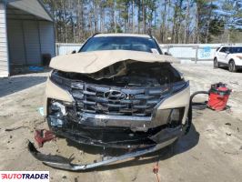 Hyundai Pozostałe 2024 2