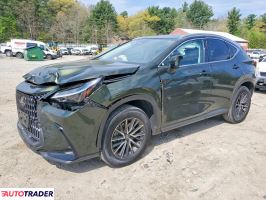 Lexus NX 2024 2