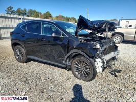 Lexus NX 2024 2