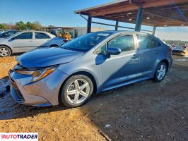 Toyota Corolla - zobacz ofertę