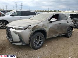 Lexus NX 2025 2