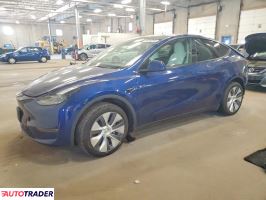 Tesla Model Y 2024