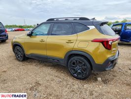 Kia Pozostałe 2024 1