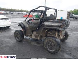 Polaris Pozostałe 2021