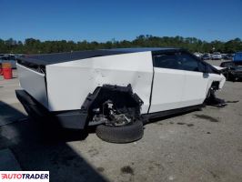 Tesla Pozostałe 2024 Tesla Pozostałe 2024