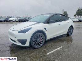 Tesla Model Y 2025
