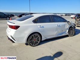 Kia Pozostałe 2024 1