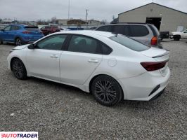 Kia Pozostałe 2024 2