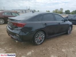 Kia Pozostałe 2024 1