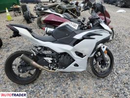 Kawasaki Pozostałe 2025 Kawasaki Pozostałe 2025