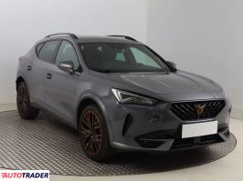 Cupra  - zobacz ofertę