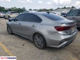 Kia Pozostałe 2024 2