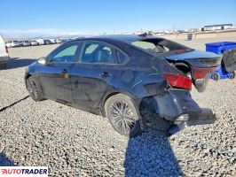 Kia Pozostałe 2024 2