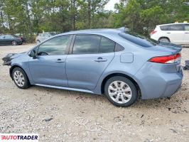 Toyota Corolla 2020 1