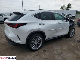 Lexus NX 2024 2 Lexus NX 2024 2
