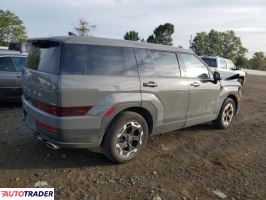 Hyundai Santa Fe 2024 2