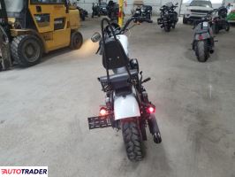 Harley-Davidson Pozostałe 2021