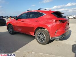 Lexus NX 2024 2