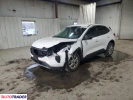 Ford Escape - zobacz ofertę