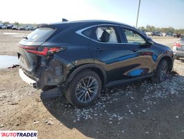 Lexus NX 2024 2