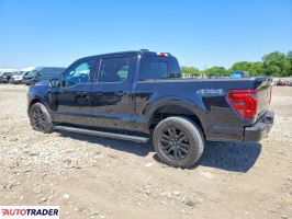 Ford Pozostałe 2024 3