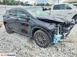 Lexus NX 2024 2