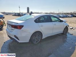 Kia Pozostałe 2024 2