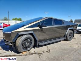 Tesla Pozostałe 2025