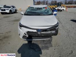 Toyota Corolla 2025 1