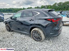 Lexus NX 2024 2