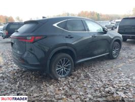 Lexus NX 2023 2