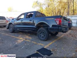 Ford Pozostałe 2025 3