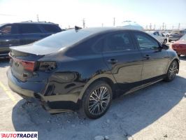 Kia Pozostałe 2024 2