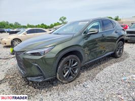 Lexus NX 2022 2