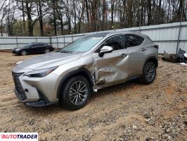 Lexus NX 2024 2